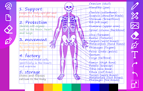 Good notes planner & Pen-book screenshot 4