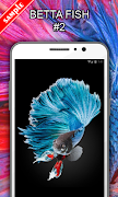 Betta Fish Wallpapers imagem de tela 2