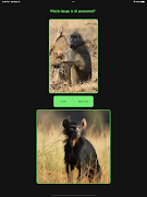 Human or AI screenshot 7