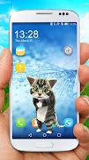 Funny walking cat poster