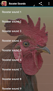 Rooster Sounds screenshot 2