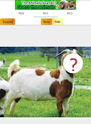 Guess Animals Sounds 截图 2