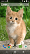 1 Schermata Magic Touch Cat Live WallPaper