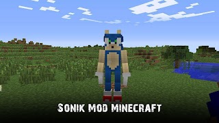 Sonik Mod Minecraft capture d'écran 1