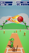 Super Cricket screenshot 3