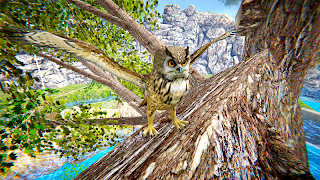 Forest Flying Birds poster