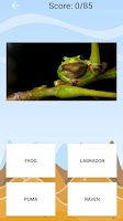 Animal Games for Kids! syot layar 3