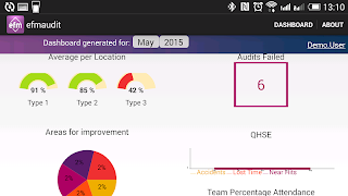 EfmAudit screenshot 5