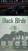 Black Birds poster
