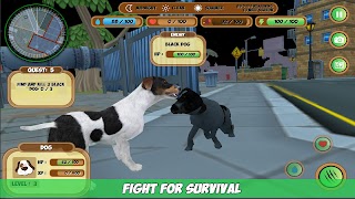 Cat & Dog Simulator ภาพหน้าจอ 7