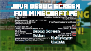 Java Debug Screen Addon F3 постер