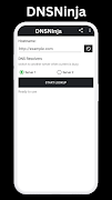 DNSNinja penulis hantaran