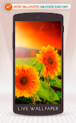 Sunflower screenshot 6