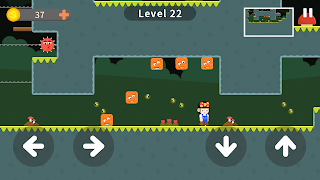Forage Platformer Adventure 스크린샷 7