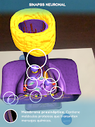 SynapsAR imagem de tela 6