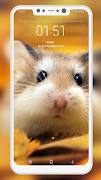 Hamster Wallpapers screenshot 7
