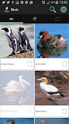 برنامه‌نما Sasol Birds for Beginners عکس از صفحه