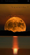 Moon Wallpaper screenshot 4