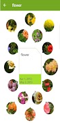 1 Schermata Memory Card Preview