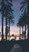 Palm Tree Wallpapers screenshot 4