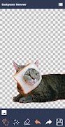 3 Schermata Background Remover
