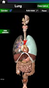 Internal Organs in 3D Anatomy скриншот 2