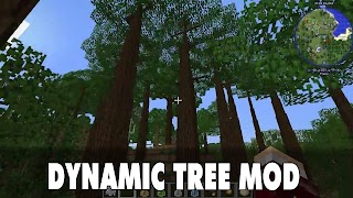 1 Schermata Dynamic Tree Mod for Minecraft