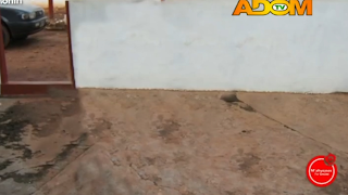 RCS TV screenshot 4