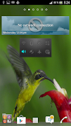 Flying Birds 3D screenshot 3