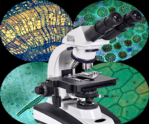 Microscope Camera View Enlarger Poster