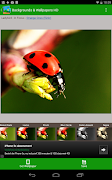 Beautiful Backgrounds скриншот 6