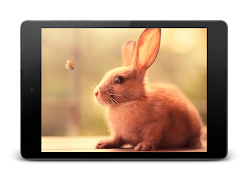 Pete Rabbit Lock Screen ภาพหน้าจอ 6