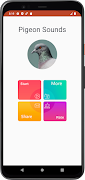 Pigeon Sounds screenshot 1