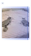 Counter Object ảnh chụp màn hình 3