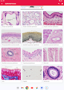 HistoGrams⁺ 截图 7