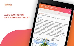 NCERT Solutions - Class 9 to 1 captura de pantalla 7
