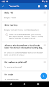 Learn French Phrasebook Pro Screenshot 6