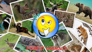 4 Schermata Kids Learn About Animals