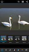 OM Image Share screenshot 3