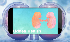پوستر Understanding Kidney Function