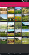 HD Material Meadow 海报
