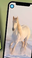 Horse Wallpaper screenshot 2