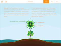 Global Change स्क्रीनशॉट 1