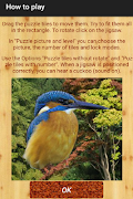 bird puzzle screenshot 3