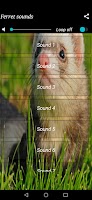 Ferret sounds screenshot 1