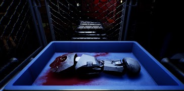 CASE RECORDS: UNDERCOVER screenshot 5