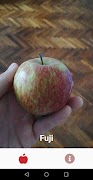 AppleClassify poster