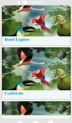 burung Encyclopedia screenshot 2
