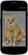OpenCV Basics स्क्रीनशॉट 3