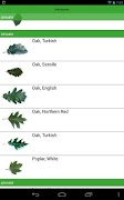 Tree Identification screenshot 2